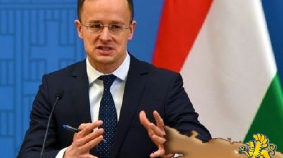 Венгрия пожаловалась НАТО на Украину за постоянные нарушения прав венгерской общины в Закарпатье - «Политика Крыма»