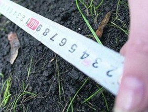 Крымчанам дали год на дооформление прав на землю по законам РФ - Общество - - «Новости Крыма» Крымчанам дали год на дооформление прав на землю по законам РФ - Общество - - «Новости Крыма»