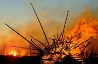 В Крыму разыскивают почти сотню без вести пропавших жителей полуострова - «Происшествия» В Крыму разыскивают почти сотню без вести пропавших жителей полуострова - «Происшествия»