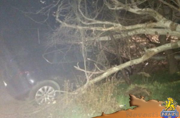 В Ялте на автомобиль упал огромный тополь - «Новости Крыма»