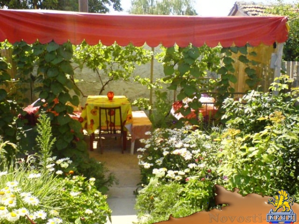 Отдых в Феодосии. Домик во дворе на 4 чл.для людей без Претензий. Отдых в Крыму 2016 - жильё в Крыму без посредников - «Отдых в Феодосии»