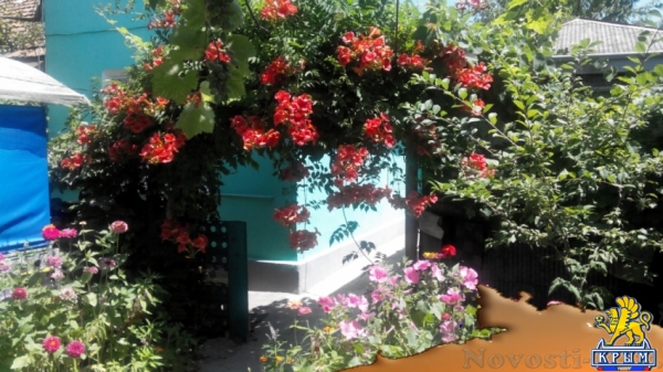 Отдых в Севастополе. Отличный отдых в Каче, в гостевом доме Отдых в Крыму 2016 - жильё в Крыму без посредников - «Отдых в Севастополе» Отдых в Севастополе. Отличный отдых в Каче, в гостевом доме Отдых в Крыму 2016 - жильё в Крыму без посредников - «Отдых в Севастополе»