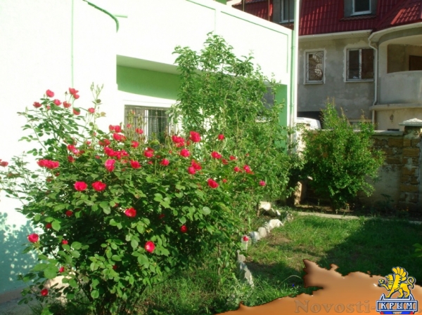 Отдых в Ялте. Сдам большой уютный дом посуточно в Ялте. Отдых в Крыму 2016 - жильё в Крыму без посредников - «Отдых в Ялте» Отдых в Ялте. Сдам большой уютный дом посуточно в Ялте. Отдых в Крыму 2016 - жильё в Крыму без посредников - «Отдых в Ялте»