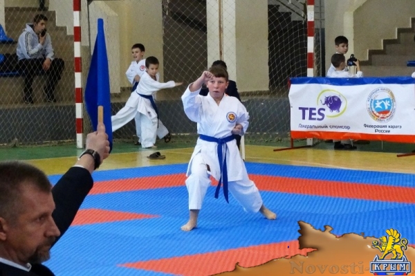 В Симферополе проходят чемпионат и первенство Крымского федерального округа по каратэ (ФОТО) - «Общество Крыма» В Симферополе проходят чемпионат и первенство Крымского федерального округа по каратэ (ФОТО) - «Общество Крыма»