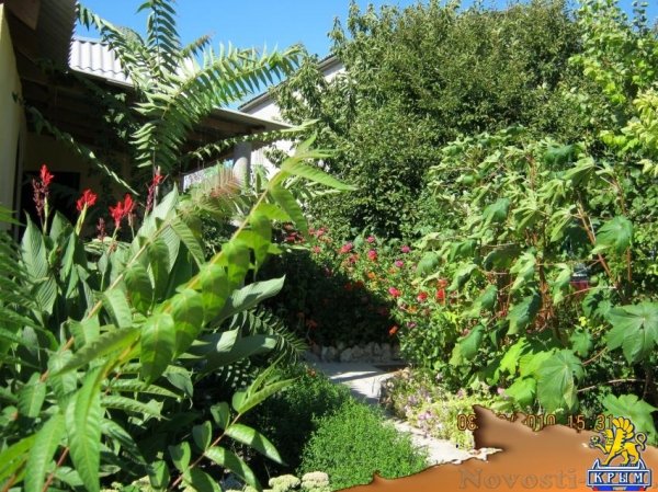 Отдых в Севастополе. предлагаю 2-х этажный коттедж у моря Отдых в Крыму 2016 - жильё в Крыму без посредников - «Отдых в Севастополе»