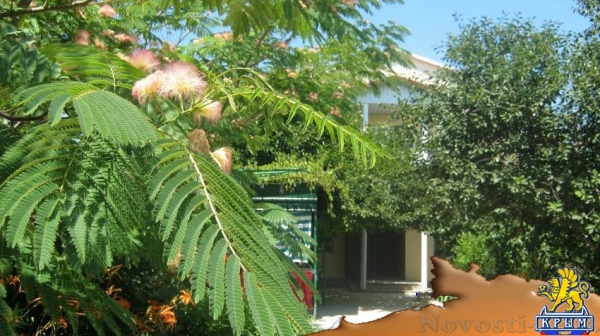 Отдых в Севастополе. предлагаю 2-х этажный коттедж у моря Отдых в Крыму 2016 - жильё в Крыму без посредников - «Отдых в Севастополе»