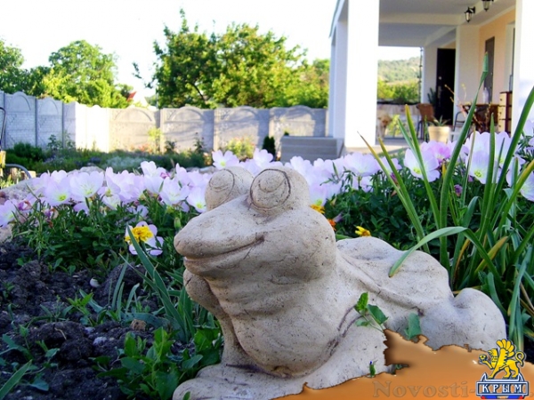 Отдых в Севастополе. Сдам номера в гостевом доме "Астерия" Отдых в Крыму 2016 - жильё в Крыму без посредников - «Отдых в Севастополе» Отдых в Севастополе. Сдам номера в гостевом доме "Астерия" Отдых в Крыму 2016 - жильё в Крыму без посредников - «Отдых в Севастополе»