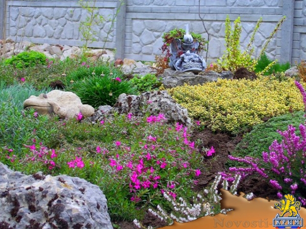 Отдых в Севастополе. Сдам номера в гостевом доме "Астерия" Отдых в Крыму 2016 - жильё в Крыму без посредников - «Отдых в Севастополе» Отдых в Севастополе. Сдам номера в гостевом доме "Астерия" Отдых в Крыму 2016 - жильё в Крыму без посредников - «Отдых в Севастополе»