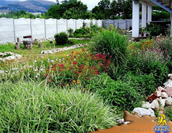 Отдых в Севастополе. Сдам номера в гостевом доме "Астерия" Отдых в Крыму 2016 - жильё в Крыму без посредников - «Отдых в Севастополе» Отдых в Севастополе. Сдам номера в гостевом доме "Астерия" Отдых в Крыму 2016 - жильё в Крыму без посредников - «Отдых в Севастополе»