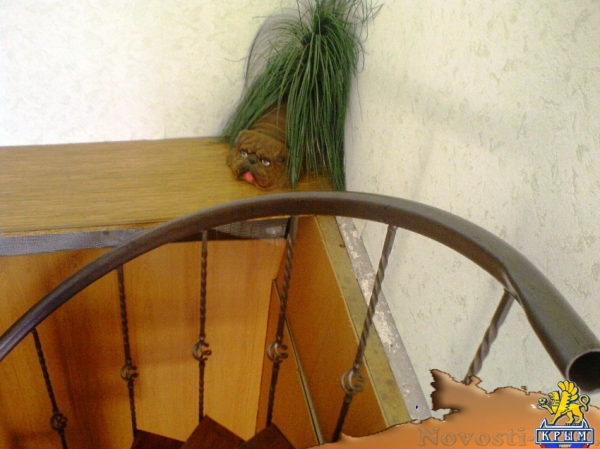 Отдых в Феодосии. Сдаю Двухэтаж.Коттэдж на 7чел. Отдых в Крыму 2016 - жильё в Крыму без посредников - «Отдых в Крыму»