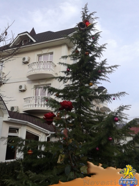 Отдых в Судаке. Гостевой дом Отдых в Крыму 2016 - жильё в Крыму без посредников - «Отдых в Судаке»