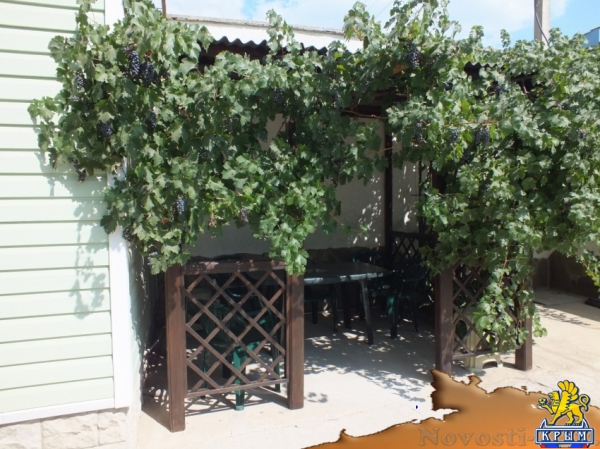 Отдых в Евпатории. Сдам 4-хкомнатный дом у моря в Заозерном пригород Евпатории Отдых в Крыму 2016 - жильё в Крыму без посредников - «Отдых в Евпатории»