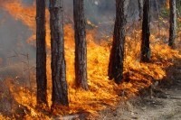 Гибель туриста в горах над Ялтой: подробности - «Происшествия» Гибель туриста в горах над Ялтой: подробности - «Происшествия»