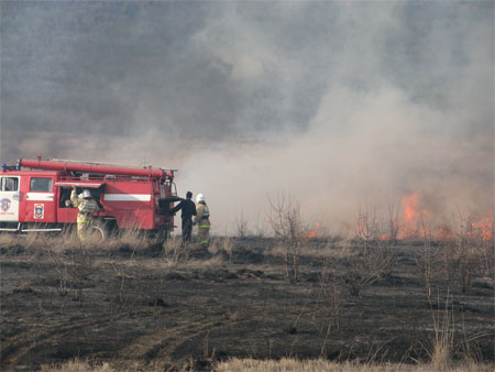 Пожарная охрана Республики Крым: не поджигайте камыш, не выжигайте сухую траву под деревьями, на лесных полянах, в садах, на полях - «МЧС» Пожарная охрана Республики Крым: не поджигайте камыш, не выжигайте сухую траву под деревьями, на лесных полянах, в садах, на полях - «МЧС»