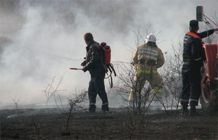 Пожарная охрана Республики Крым: не поджигайте камыш, не выжигайте сухую траву под деревьями, на лесных полянах, в садах, на полях - «МЧС» Пожарная охрана Республики Крым: не поджигайте камыш, не выжигайте сухую траву под деревьями, на лесных полянах, в садах, на полях - «МЧС»