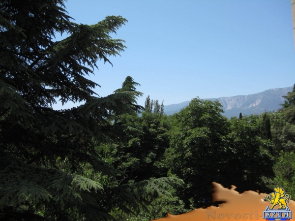 Отдых в Ялте. ЯЛТА2016.3-х комнатная квартира до 7 человек, тихий район,Новости Крыма к морю Отдых в Крыму 2016 - жильё в Крыму без посредников - «Отдых в Ялте»