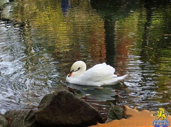 Отдых в Алупке. Комфортный номер у Воронцовского парка, на 2+1чел,до моря 10 мин. Отдых в Крыму 2016 - жильё в Крыму без посредников - «Отдых в Крыму»