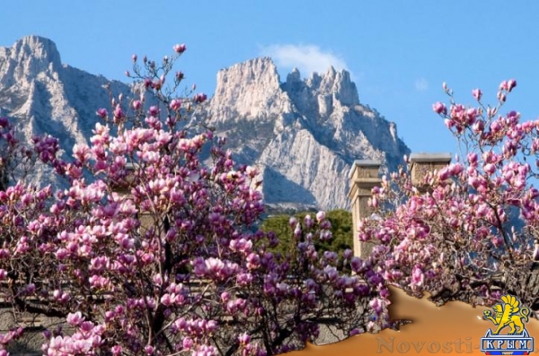 Отдых в Алупке. Комфортный номер у Воронцовского парка, на 2+1чел,до моря 10 мин. Отдых в Крыму 2016 - жильё в Крыму без посредников - «Отдых в Крыму»