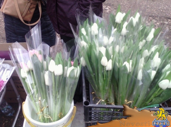 В канун 8 марта в Севастополе активизировались нелегальные точки по продаже цветов (ФОТО) - «Общество Крыма»