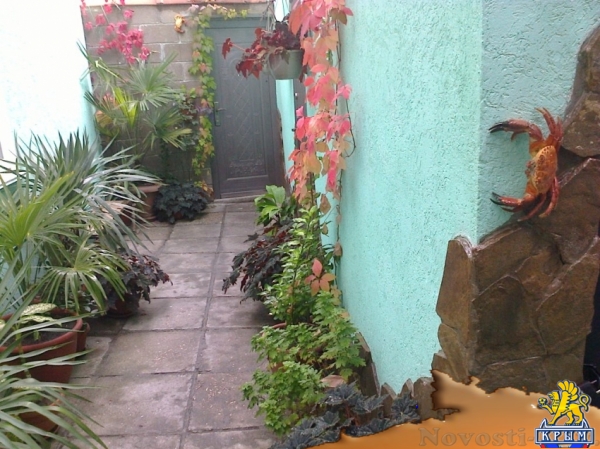 Отдых в Алупке. домик возле моря- под ключ! Отдых в Крыму 2016 - жильё в Крыму без посредников - «Отдых в Крыму»