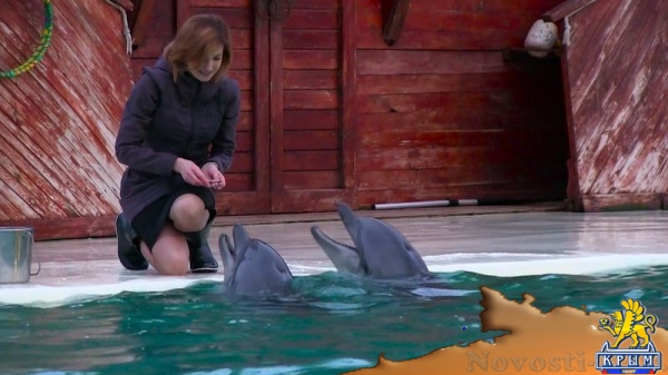 Поклонская рассказала, как дельфины спасли ее от депрессии (ФОТО, ВИДЕО) - «70 лет Победы» Поклонская рассказала, как дельфины спасли ее от депрессии (ФОТО, ВИДЕО) - «70 лет Победы»