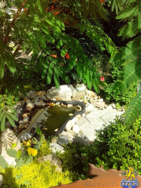 Отдых-эконом в Береговом. Гостевой дом "Алдижан" Отдых в Крыму 2016 - жильё в Крыму без посредников - «Отдых в Береговом»