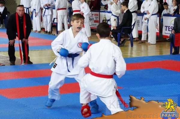 Кубок Республики Крым по каратэ в Симферополе посвятили Дню воссоединения Крыма с Россией (ФОТО) - «70 лет Победы»