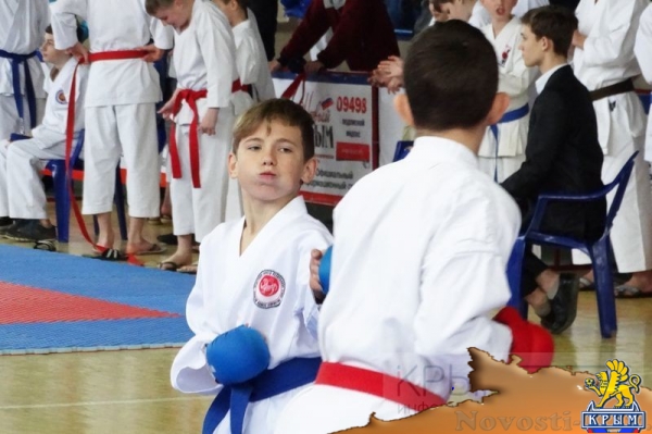 Кубок Республики Крым по каратэ в Симферополе посвятили Дню воссоединения Крыма с Россией (ФОТО) - «70 лет Победы»