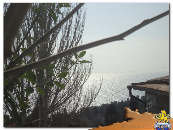 Отдых в Алупке. Уютный домик в центре Алупки Отдых в Крыму 2016 - жильё в Крыму без посредников - «Отдых в Крыму»