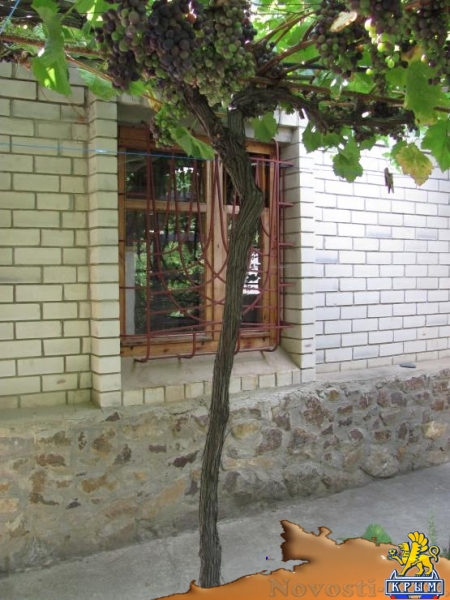 Отдых в Рыбачьем. Отдых в частном секторе, Рыбачье, Крым Отдых в Крыму 2016 - жильё в Крыму без посредников - «Отдых в Крыму»