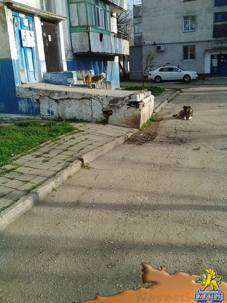 Управляющая компания довела керчан до «точки кипения» - «Керчь»