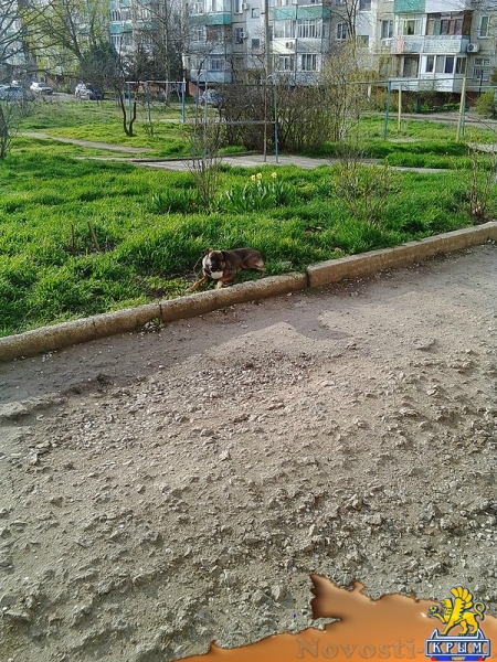 Управляющая компания довела керчан до «точки кипения» - «Керчь»