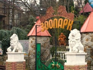 «Сказку» оштрафовали на полмиллиона рублей - «Происшествия Крыма» «Сказку» оштрафовали на полмиллиона рублей - «Происшествия Крыма»