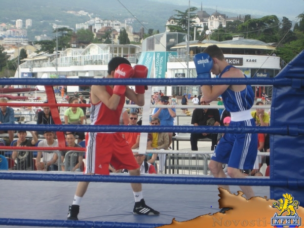 Керченские боксеры будут сражаться за звания Чемпионов Мира - «Керчь»