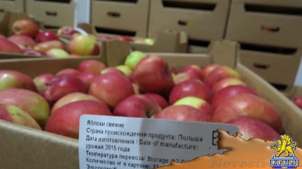 В Симферополе уничтожили более 15 тонн фруктов, завезенных из Польши и Испании (ФОТО) - «Симферополь»