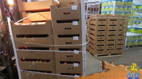 В Симферополе уничтожили более 15 тонн фруктов, завезенных из Польши и Испании (ФОТО) - «Симферополь»