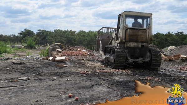 В Симферополе уничтожили более 15 тонн фруктов, завезенных из Польши и Испании (ФОТО) - «Симферополь»