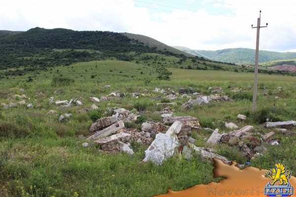 На «невидимой» для властей огромной свалке под Симферополем питаются коровы (ФОТО) - «Симферополь»