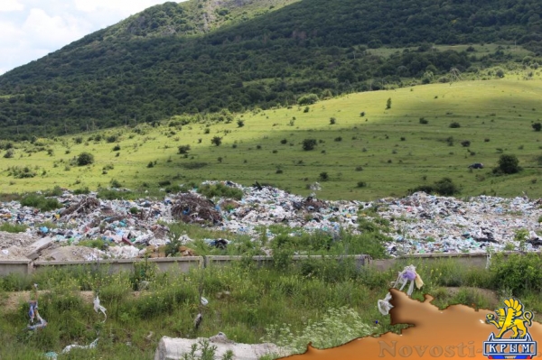 На «невидимой» для властей огромной свалке под Симферополем питаются коровы (ФОТО) - «Симферополь»