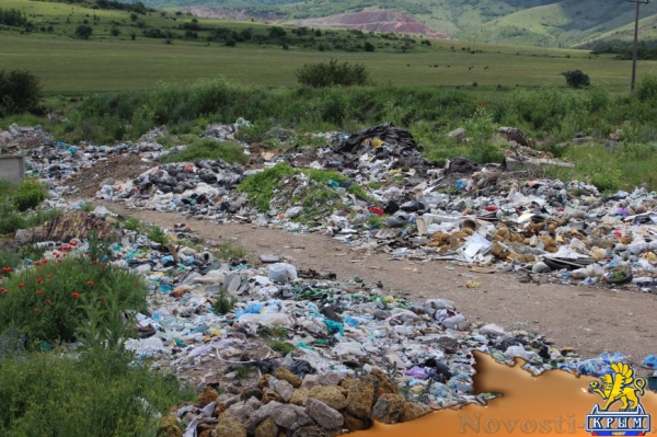На «невидимой» для властей огромной свалке под Симферополем питаются коровы (ФОТО) - «Симферополь»