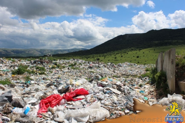 На «невидимой» для властей огромной свалке под Симферополем питаются коровы (ФОТО) - «Симферополь»