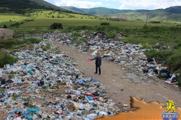 На «невидимой» для властей огромной свалке под Симферополем питаются коровы (ФОТО) - «Симферополь»