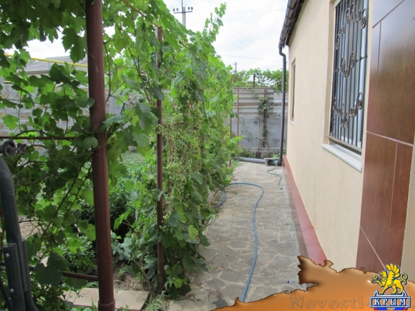 Отдых в Береговом. Сдам дом под ключ Отдых в Крыму 2016 - жильё в Крыму без посредников - «Отдых в Береговом»