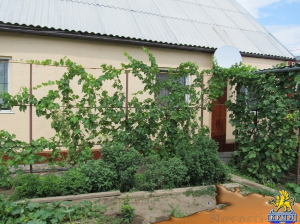 Отдых в Береговом. Сдам дом под ключ Отдых в Крыму 2016 - жильё в Крыму без посредников - «Отдых в Береговом»