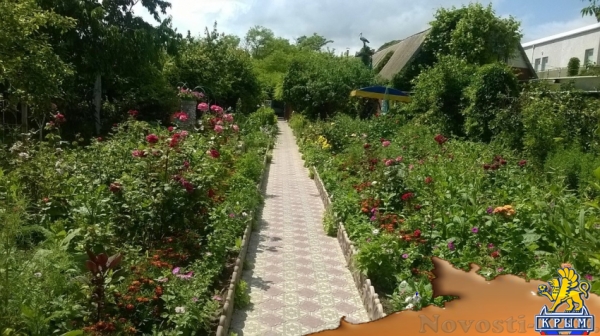 Отдых-эконом в Береговом. Уютный и не дорогой отдых на берегу моря Отдых в Крыму 2016 - жильё в Крыму без посредников - «Отдых в Береговом»