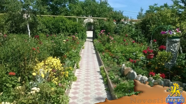 Отдых-эконом в Береговом. Уютный и не дорогой отдых на берегу моря Отдых в Крыму 2016 - жильё в Крыму без посредников - «Отдых в Береговом»