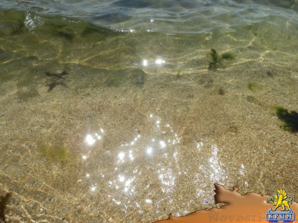 Отдых в Береговом. Мини-отель "Отдыхаем!!!!!!" Отдых в Крыму 2016 - жильё в Крыму без посредников - «Отдых в Береговом»