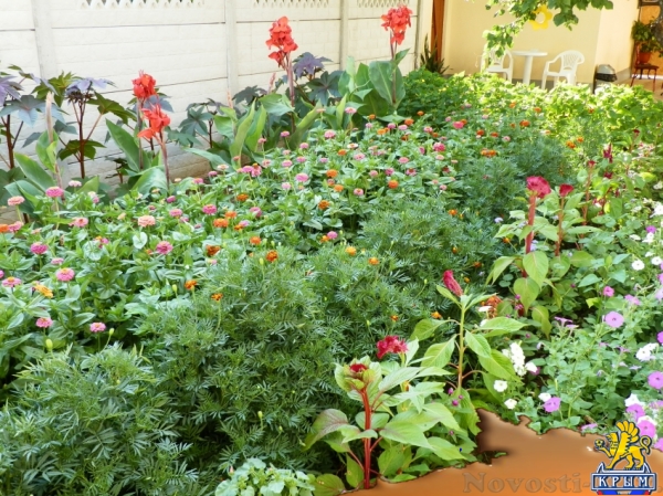 Отдых в Береговом. Мини-отель "Отдыхаем!!!!!!" Отдых в Крыму 2016 - жильё в Крыму без посредников - «Отдых в Береговом»