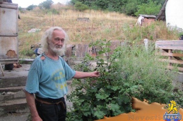 Тишина в обмен на славу. Как популярный артист цирка стал отшельником