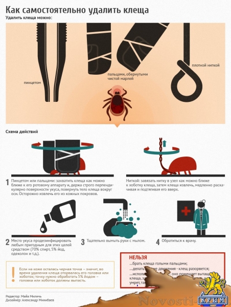 «Сезон клещей» в Крыму продолжается: 3 тыс. человек обратились в больницу «Сезон клещей» в Крыму продолжается: 3 тыс. человек обратились в больницу